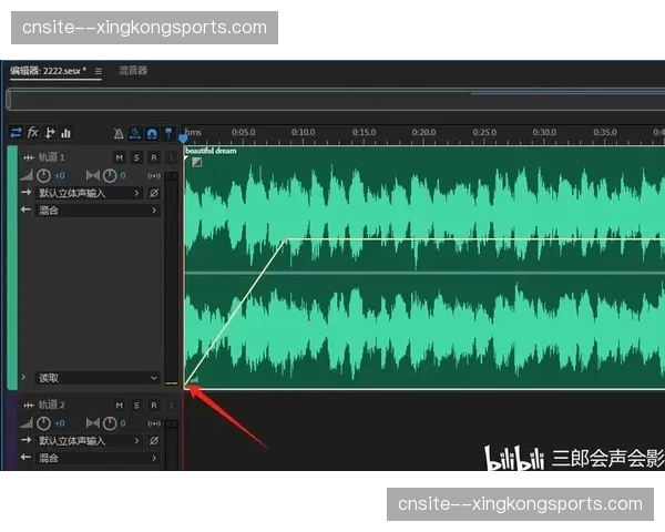 实时音频多轨分发技术成熟 观众可定制解说音轨